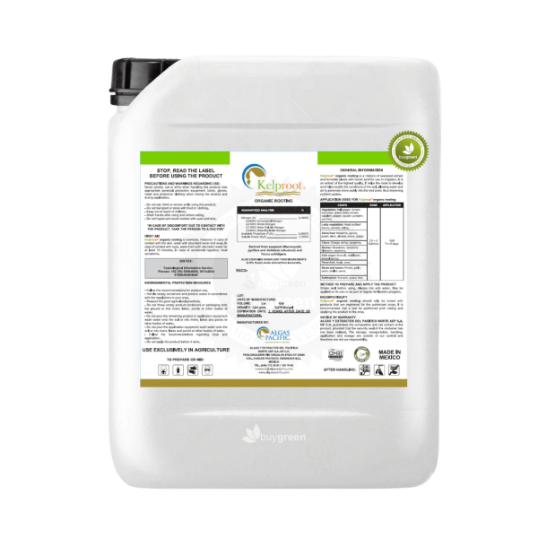 Algas Pacific Kelproot