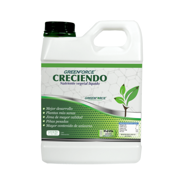 GreenForce Creciendo