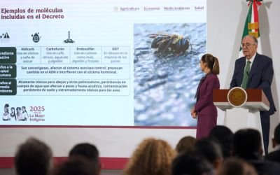 🌱 México prohíbe 35 plaguicidas: un parteaguas para el campo y la salud pública